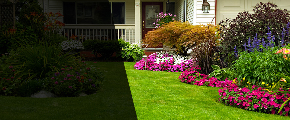 Glenwood Springs Landscapers