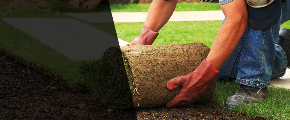 Glenwood Springs Landscapers